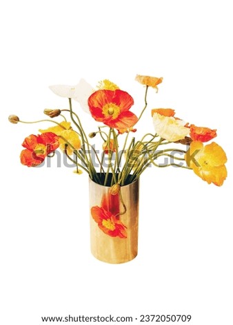 Poppies in red, white, yellow and orange in a golden vase against a whilte background.