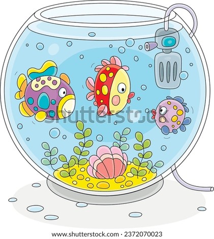 Funny colorful decorative fishes swimming and chatting in their home round aquarium with a tropical shell and seaweeds on the sand bottom, vector cartoon illustration on a white background