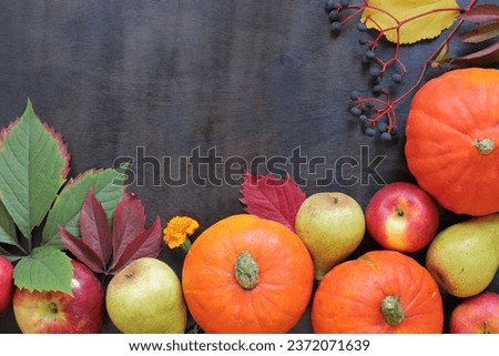 Thanksgiving and Autumn design concept. Autumn background with ripe pumpkins, leaves, apples and pears on a dark wooden table. Flat lay, top view with copy space