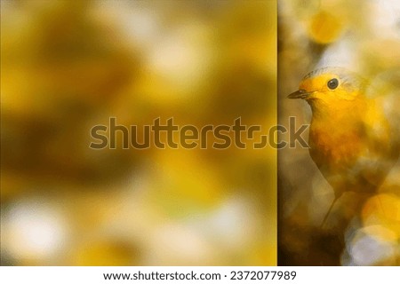 Robin. Photo with a frosted glass effect applied to one side. presentation, card, poster etc. ready-to-use image. Bokeh nature background.