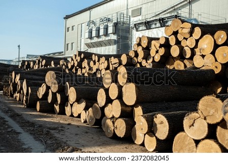 stack of wood. Woodworking industry. Preparation and processing of wooden logs