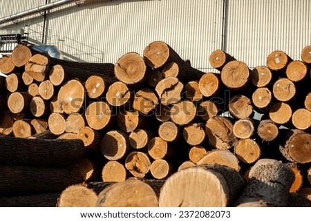 stack of wood. Woodworking industry. Preparation and processing of wooden logs