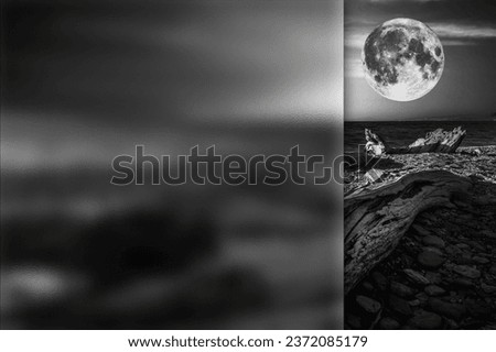 A dried tree trunk stretching towards the sea. Black white nature photo. Photo with a frosted glass effect applied to one side. presentation, card, poster etc. ready-to-use image.
