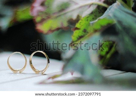 A pair of gold wedding rings arranged next to green leaves.