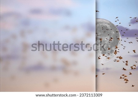 Moon and birds. Photo with a frosted glass effect applied to one side. presentation, card, poster etc. ready-to-use image.