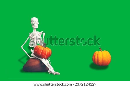 Skeleton sitting on wooden floor with pumpkin. Halloween Party Card - Pumpkins And Skeleton In Graveyard At Night, Art Picture for Halloween Concept, copy space, Green screen, Isolated on green.
