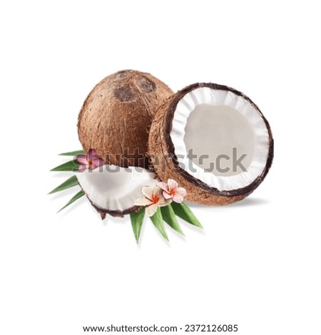 Coconut fruit isolated on white background stock photo
Coconut, Coconut Palm Tree, White Background, Cut Out, Cracked