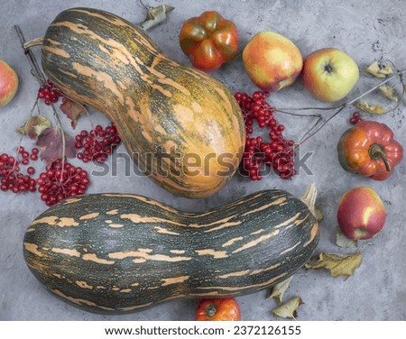 Large ripe pumpkin and viburnum berries on the table
