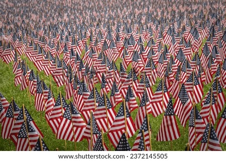 An American Flags at a memorial day event for fallen military service personnel Royalty-Free Stock Photo #2372145505