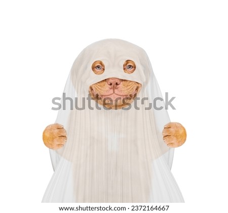 Smiling Mastiff puppy dog celebrating halloween in ghost costume. Isolated on white background