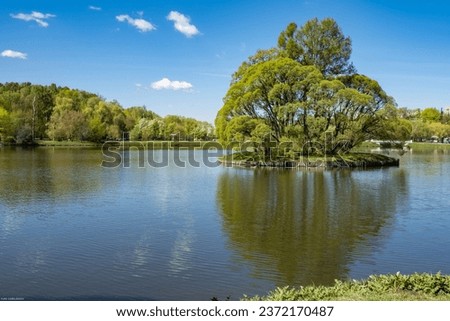 Russia, Moscow, Tsaritsyno. A large tree on an island in the middle of a pond.