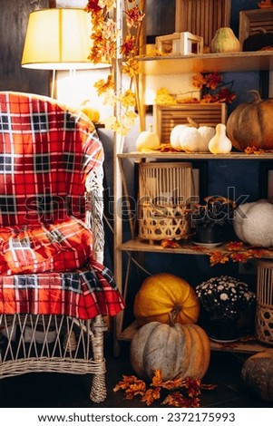 Cozy chair and seasonal decorations with autumn pumpkins