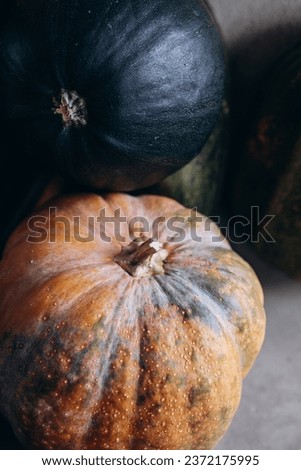 Couple of pumpkins standing by the wall, background picture