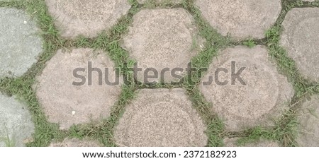grass between the gaps in the stone blocks