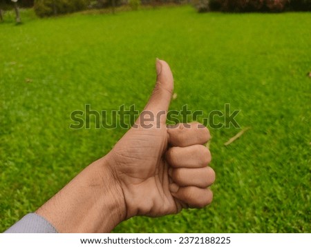 Hands saying thank you in a green field