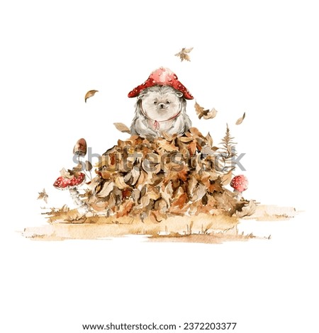 Watercolor nursery set. Hand painted autumn composition of hedgehog character, mushroom, forest leaves, fall leaf, isolated on white background. Baby illustration for card design, print, poster