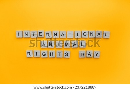 December 10, International animal rights day, minimalistic banner with the inscription in wooden letters Royalty-Free Stock Photo #2372218889