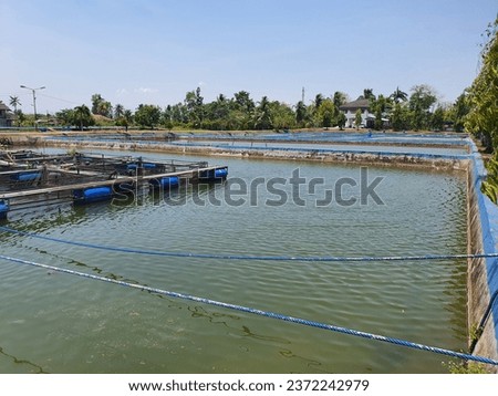 several aquaculture facilities for rearing fish in asia