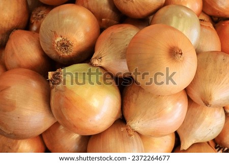 top view  lot of fresh big yellow onions with peel at the grocery. Royalty-Free Stock Photo #2372264677