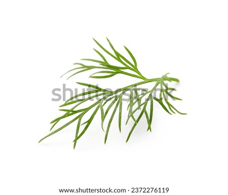 Sprig of fresh dill isolated on white Royalty-Free Stock Photo #2372276119