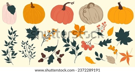 Hand drawn vector set autumn elements. Fall leaves, mushrooms, maple, acorns, berries, oak, pumpkins. Harvest time. Colored trendy illustration. Autumn floral stickers.