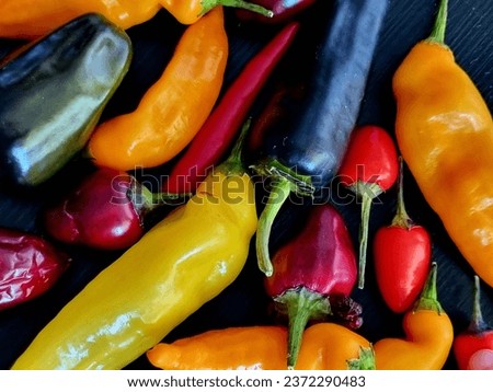 Closeup picture of the autumn's chili (	Solanaceae; Capsicum) harvest with colourful peppers in red, orange, yellow and black.