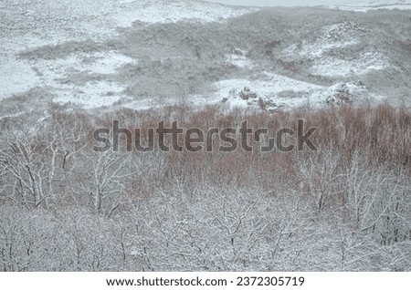 Winter landscape with trees and a snowy mounta in Galicia