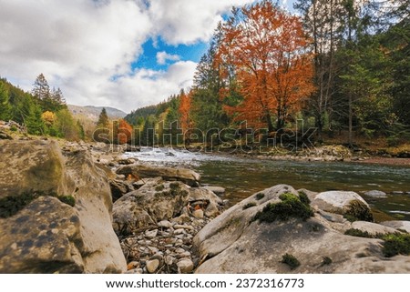scenery with stones and rocks on the shore of a river. autumn landscape in mountains with cloudy sky