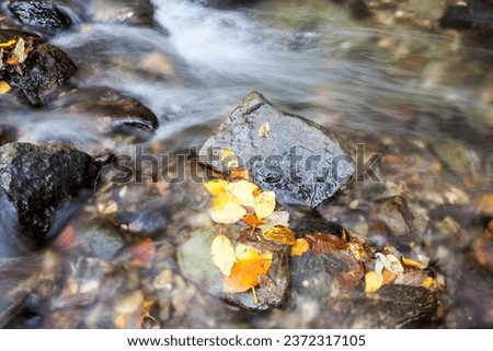 Mountain creek in autumn, october.