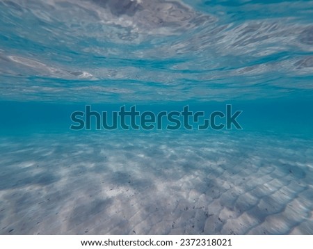 Underwater photo on the beach in Athens. Clean water and sandy bottom. High quality photo