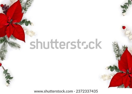 Christmas decoration. Flower of red orange poinsettia, branch christmas tree, berries mistletoe, red berries on white background with space for text. Top view, flat lay