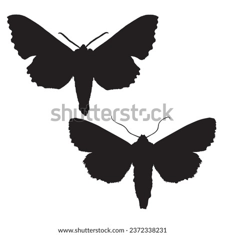 Vector Illustration of Moth Silhouette