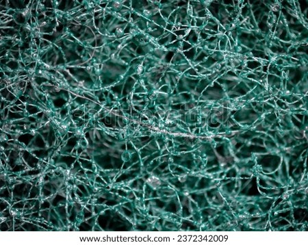 Image taken with a microscope green sponge.