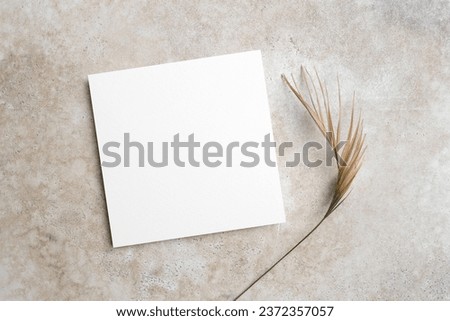 Square paper card mockup with natural botanical decor, copy space for card design, blank invitation or greeting card