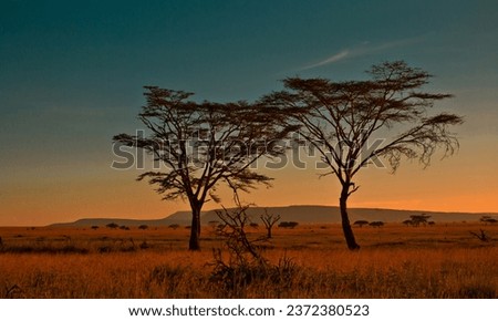 
African sunset over the Serengeti National Park in Tanzania