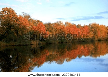 Pictures of different landscapes in the Netherlands in autumn. 