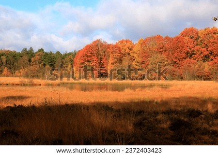 Pictures of different landscapes in the Netherlands in autumn. 