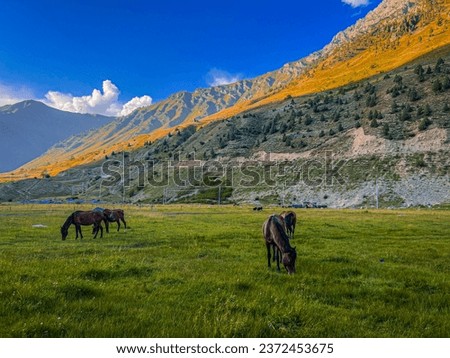 Picturesque landscape of Beautiful gurez valley with horses in the foreground.