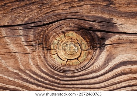 Wood knot background. Grunge wooden texture. Dry desk cracks pattern. Cut tree slice cross section. Uneven natural material board. Growth ring pattern. Tree knot closeup. Royalty-Free Stock Photo #2372460765