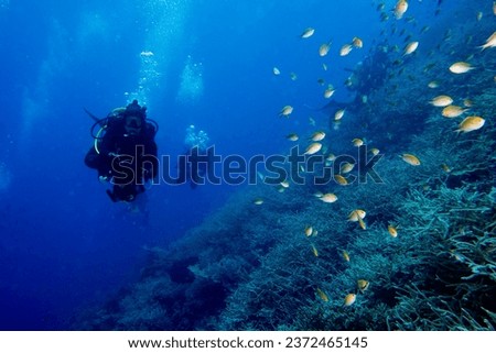scuba diver in fish and corals reef blue ocean background
