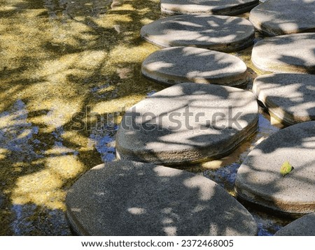 Natural stepping stone at shallow pool