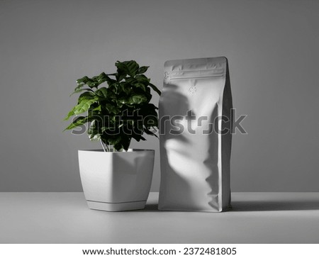 Mockup of white pouch for coffee beans with Arabica plant, blank doy pack for design, print, pattern, branding. Zip package template on wall background. Product photography for advertising
