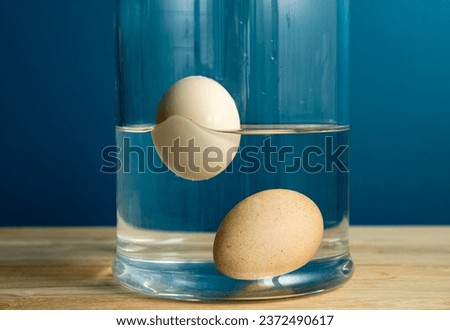 Comparison with fresh edible and old rotten egg. Fresh edible chicken egg is sunken bottom of the glass jar and bad old rotten egg is floating above water. Inside home kitchen. Royalty-Free Stock Photo #2372490617