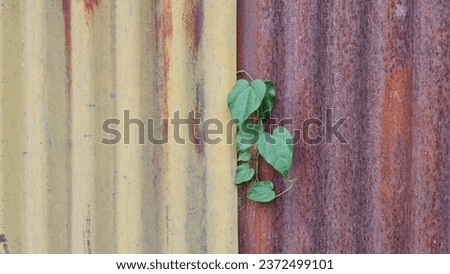 Rusty iron sheet image background