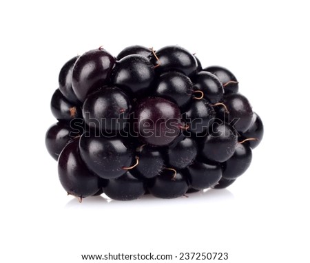 Close up view of one fresh blackberries isolated on white background