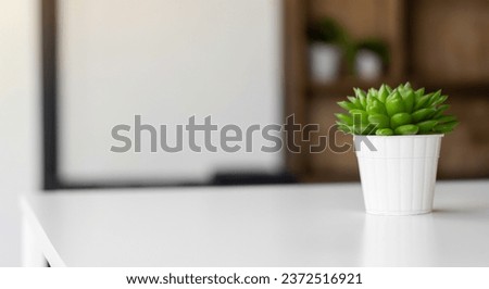 cactus plant white table style