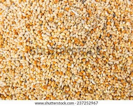 Full Frame picture of Bird Seed