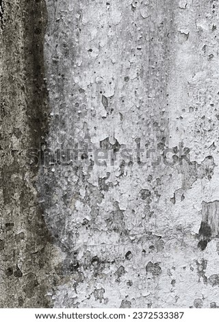 the texture of the old concrete wall.