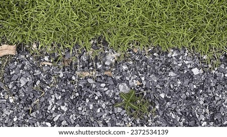 a close up of a patch of grass.