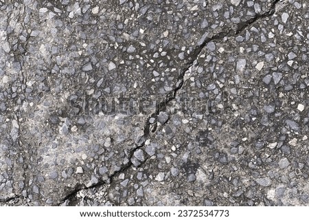 a crack in the asphalt.